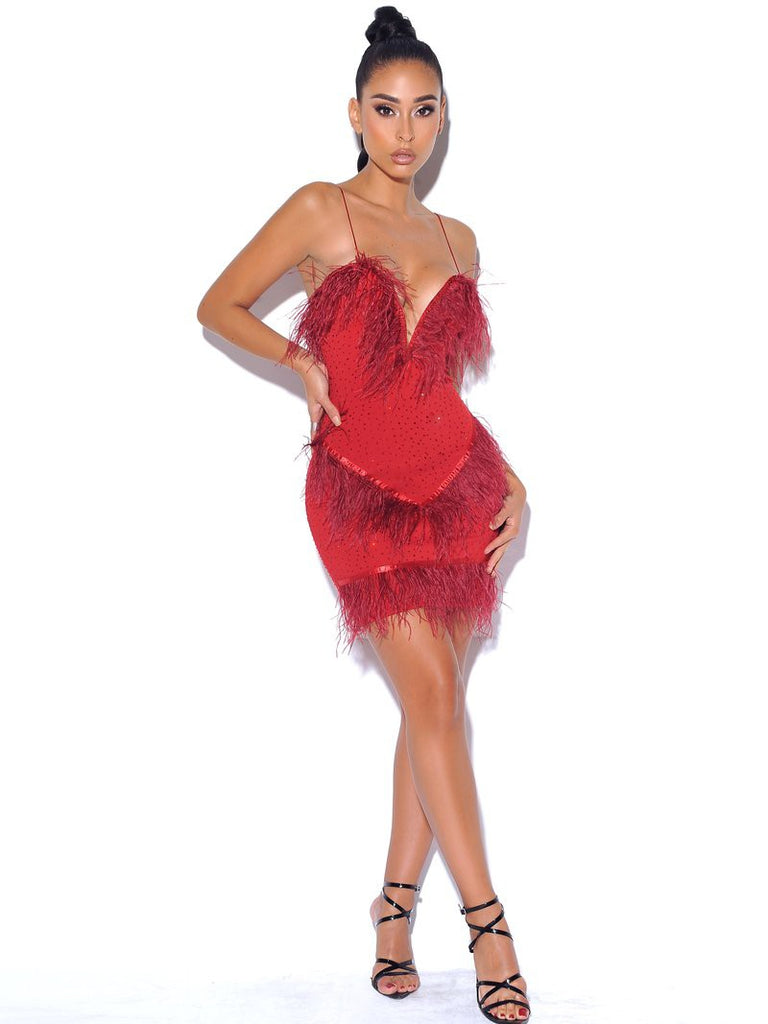 One In A Million Crystal And Feathers Red Stretch Crepe Dress